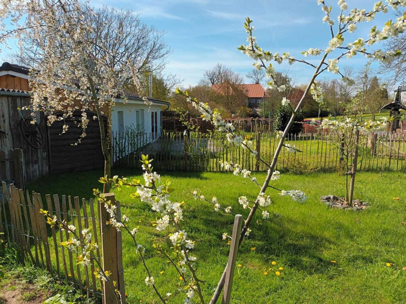 Apfelhof Villa Grundshagen Cameră foto